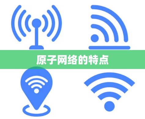 原子网络的特点