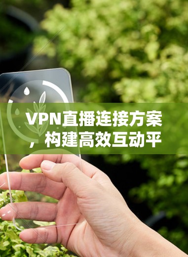 VPN直播连接方案,构建高效互动平台