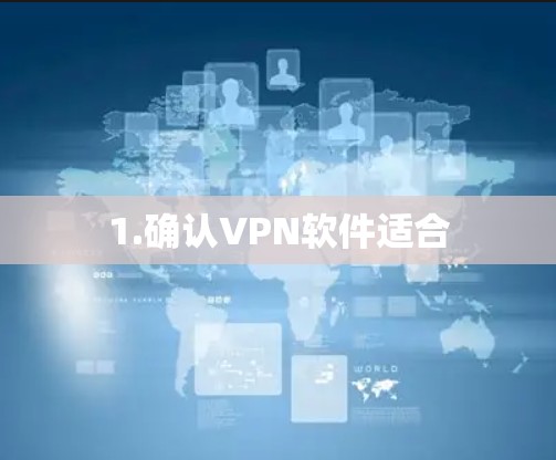 1.确认VPN软件适合