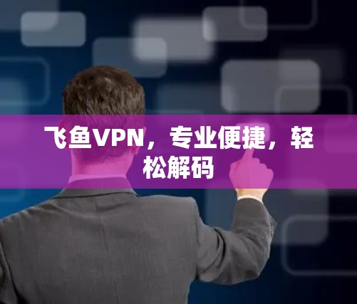 飞鱼VPN，专业便捷，轻松解码