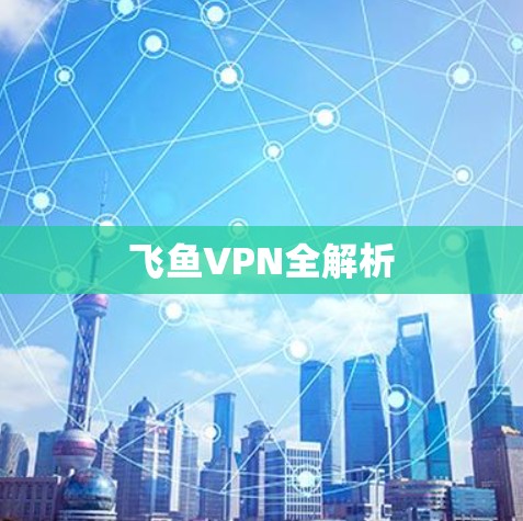 飞鱼VPN全解析 飞鱼VPN全解析