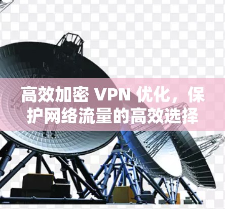 高效加密 VPN 优化,保护网络流量的高效选择
