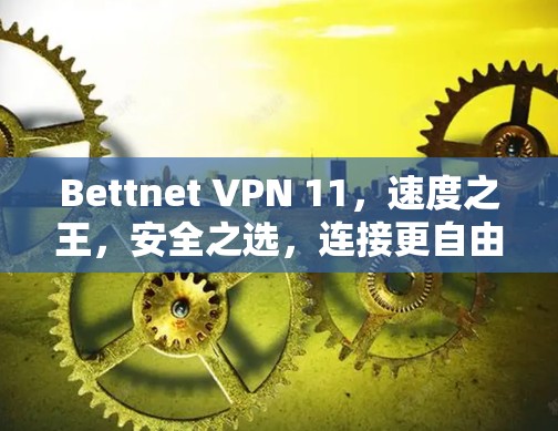 Bettnet VPN 11，速度之王，安全之选，连接更自由