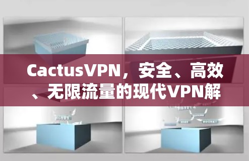 CactusVPN，安全、高效、无限流量的现代VPN解决方案