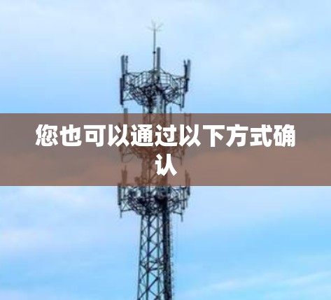 您也可以通过以下方式确认