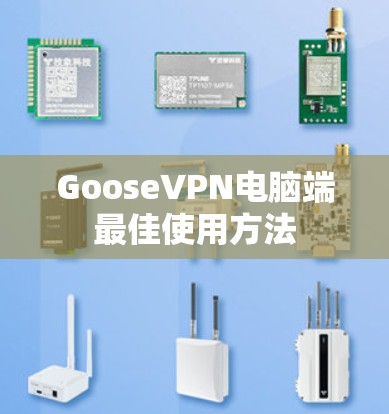 GooseVPN电脑端最佳使用方法