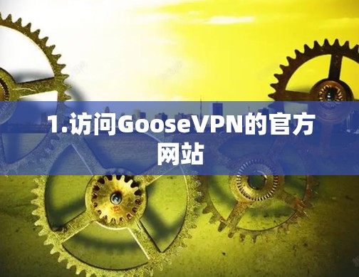 1.访问GooseVPN的官方网站