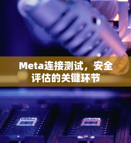 Meta连接测试，安全评估的关键环节