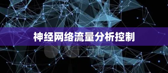 神经网络流量分析控制