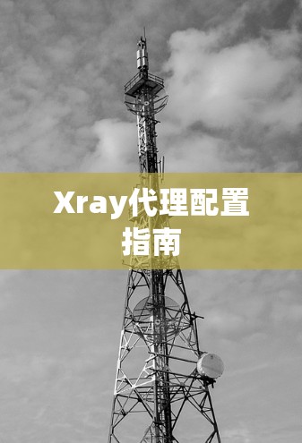 Xray代理配置指南