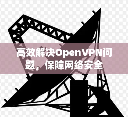 高效解决OpenVPN问题，保障网络安全