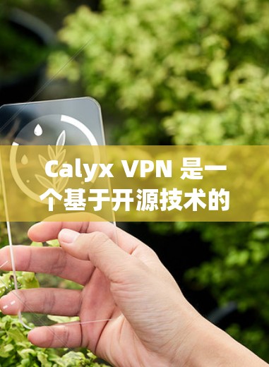 Calyx VPN 是一个基于开源技术的VPN应用,旨在提供安全、高效和便捷的网络访问体验。以下是关于Calyx VPN 的详细信息