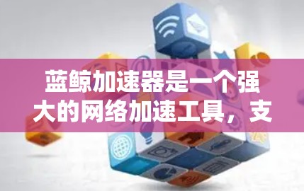 蓝鲸加速器是一个强大的网络加速工具，支持多种下载模式和工具，帮助用户提高下载速度。以下是使用蓝鲸加速器的步骤指南