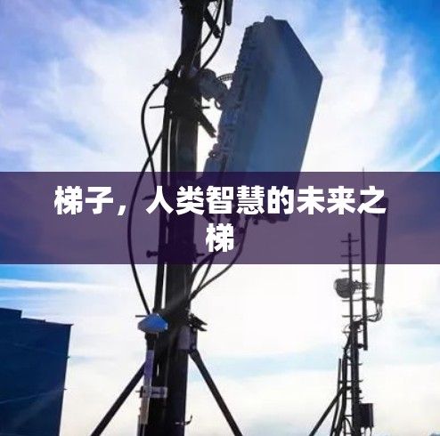 梯子,人类智慧的未来之梯 梯子,人类智慧的未来之梯