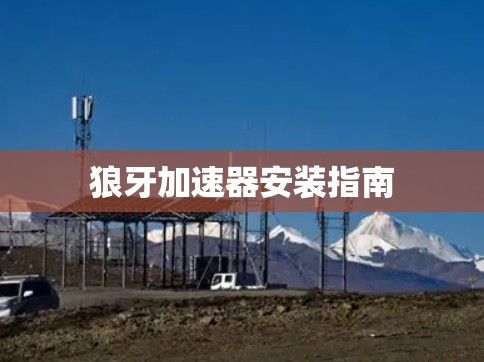 狼牙加速器安装指南