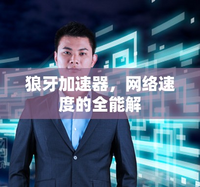 狼牙加速器,网络速度的全能解