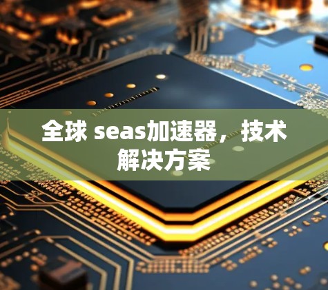 全球 seas加速器,技术解决方案
