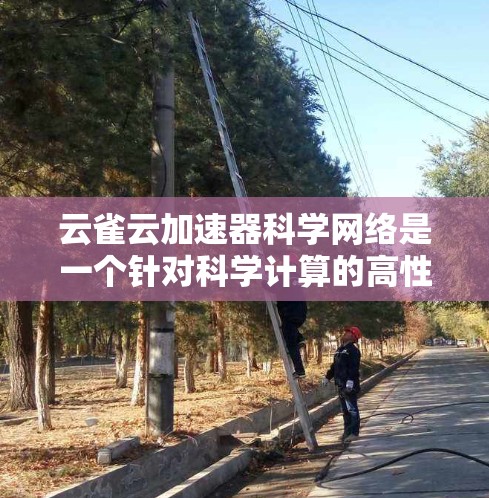 云雀云加速器科学网络是一个针对科学计算的高性能网络加速器，通过连接云计算服务器来加速任务，提升效率和性能。以下是对其功能和应用的详细介绍