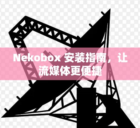 Nekobox 安装指南，让流媒体更便捷