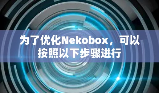 为了优化Nekobox，可以按照以下步骤进行