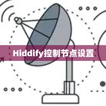 Hiddify控制节点设置