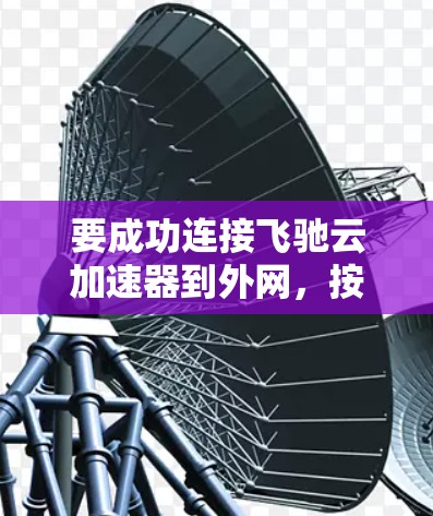 要成功连接飞驰云加速器到外网,按照以下步骤操作 要成功连接飞驰云加速器到外网,按照以下步骤操作