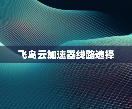 飞鸟云加速器线路选择 飞鸟云加速器线路选择