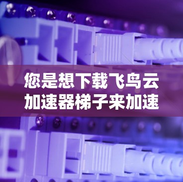您是想下载飞鸟云加速器梯子来加速下载网站的速度吗？如果有的话，您可以通过以下步骤操作