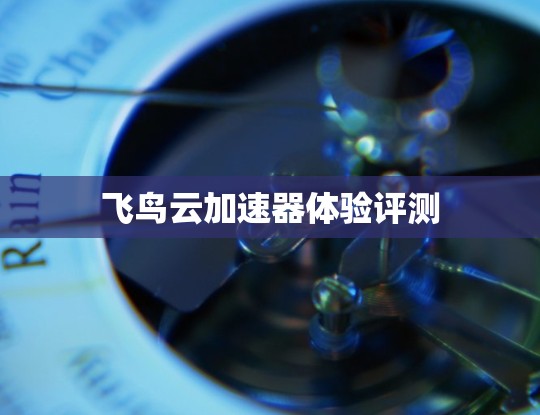 飞鸟云加速器体验评测 飞鸟云加速器体验评测