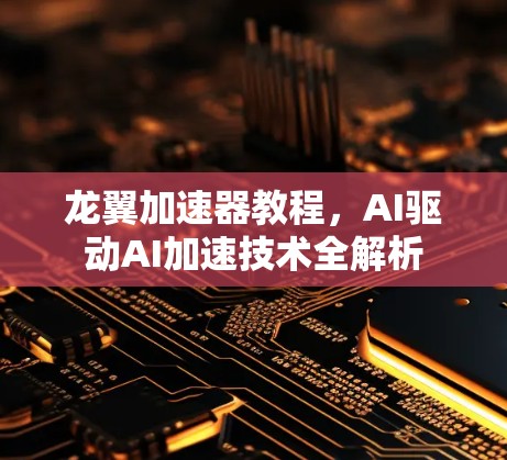 龙翼加速器教程,AI驱动AI加速技术全解析