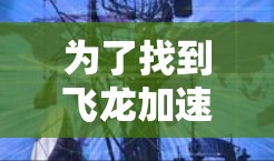 为了找到飞龙加速器的官网，您可以按照以下步骤进行操作