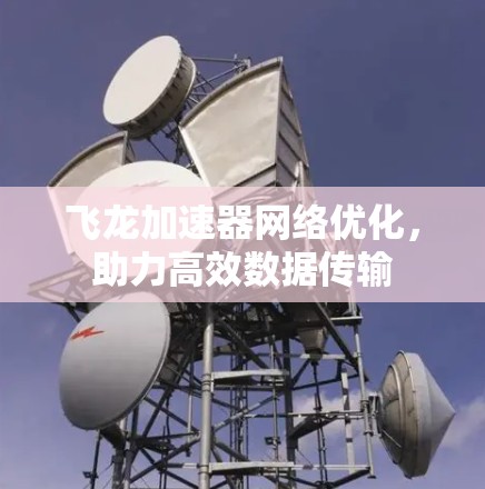 飞龙加速器网络优化，助力高效数据传输