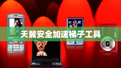 天翼安全加速梯子工具
