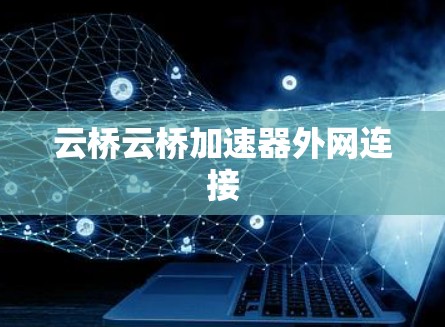 云桥云桥加速器外网连接
