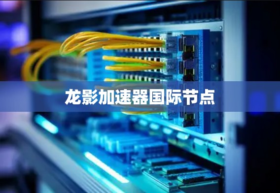 龙影加速器国际节点
