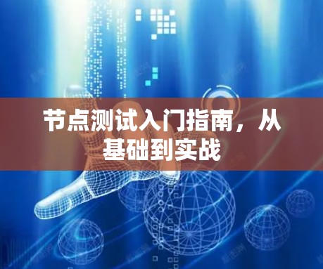 节点测试入门指南，从基础到实战