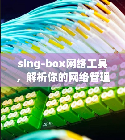 sing-box网络工具,解析你的网络管理新选择