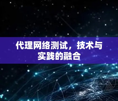 代理网络测试,技术与实践的融合 代理网络测试,技术与实践的融合