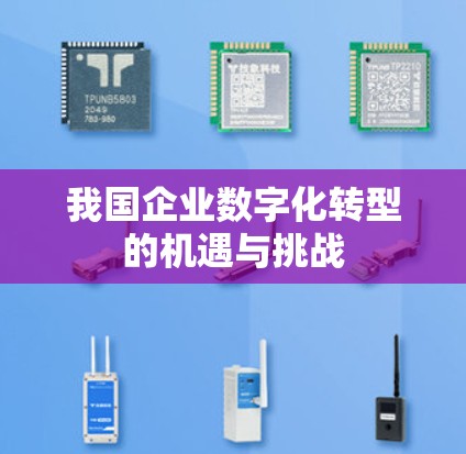 我国企业数字化转型的机遇与挑战
