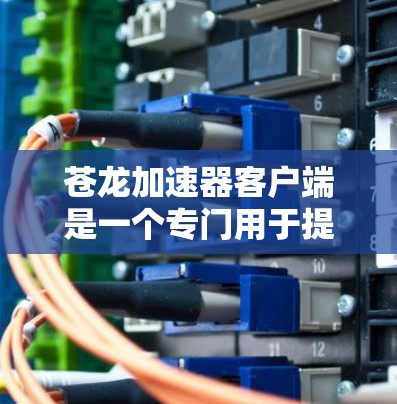苍龙加速器客户端是一个专门用于提升网页下载速度的加速工具。它提供多种功能,包括缓存优化、多线程下载和缓存管理,帮助用户更高效地进行网页下载。以下是关于苍龙加速器客户端的详细信息