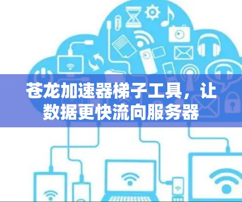 苍龙加速器梯子工具,让数据更快流向服务器