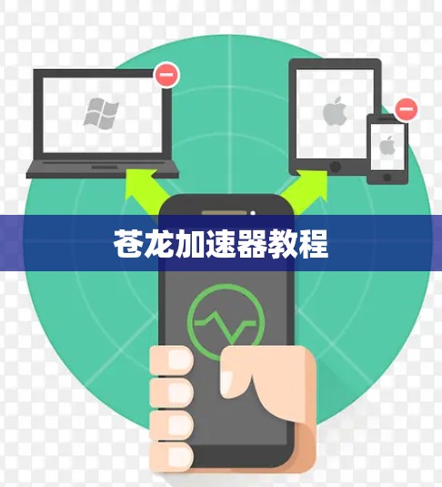 苍龙加速器教程