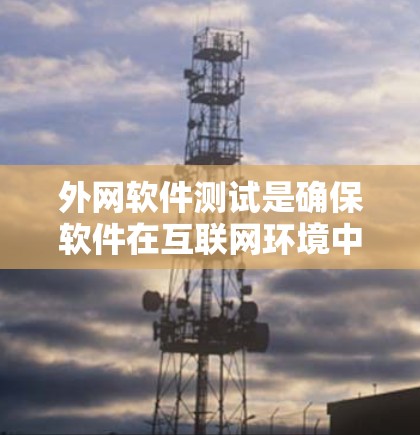 外网软件测试是确保软件在互联网环境中正常运行和功能正确性的过程。以下是对外网软件测试的详细总结