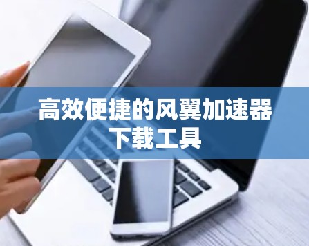 高效便捷的风翼加速器下载工具