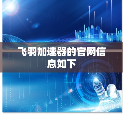 飞羽加速器的官网信息如下 飞羽加速器的官网信息如下