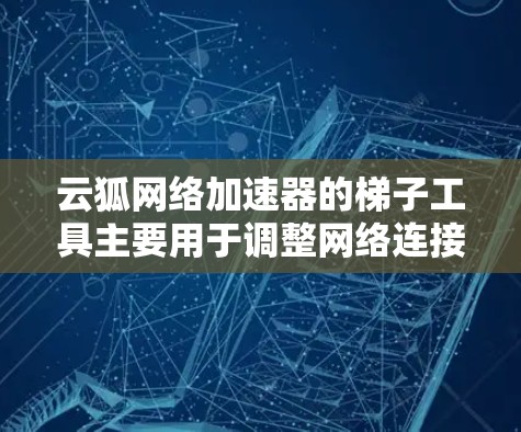 云狐网络加速器的梯子工具主要用于调整网络连接方式和缓和网络延迟。以下是详细的步骤和方法