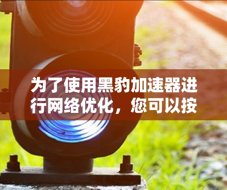 为了使用黑豹加速器进行网络优化,您可以按照以下步骤进行