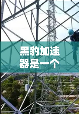 黑豹加速器是一个广泛使用的网络加速软件,它支持多种格式和平台,包括Windows、macOS、Linux等。以下是关于黑豹加速器的详细信息