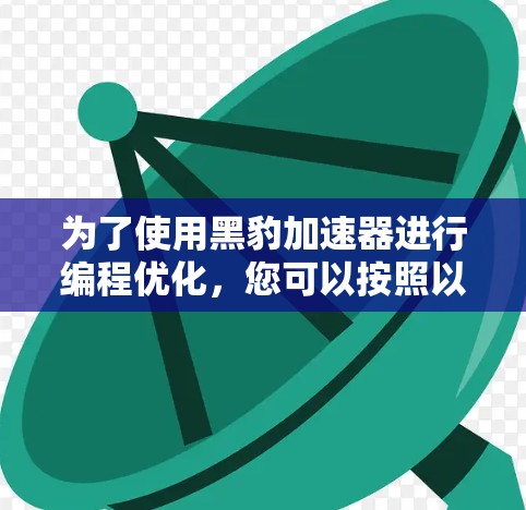 为了使用黑豹加速器进行编程优化，您可以按照以下步骤进行操作