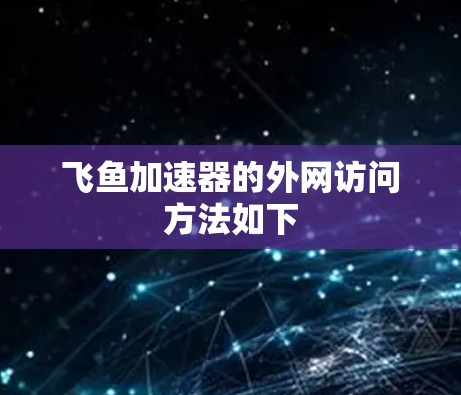 飞鱼加速器的外网访问方法如下